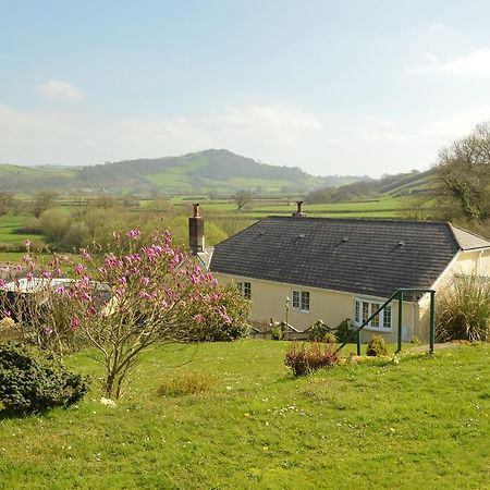 카마던 Bryn Hebog B&B 외부 사진