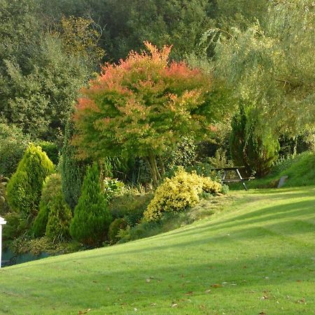 카마던 Bryn Hebog B&B 외부 사진