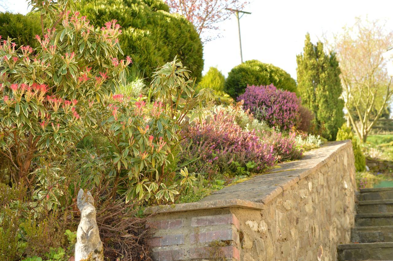 카마던 Bryn Hebog B&B 외부 사진