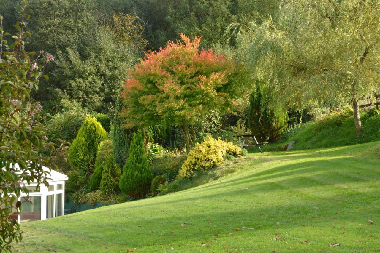 카마던 Bryn Hebog B&B 외부 사진